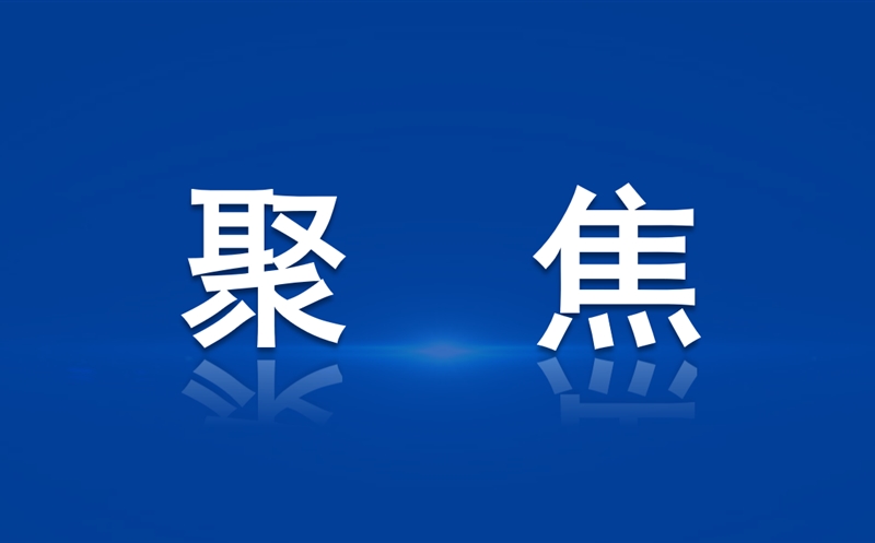 �������ƹ�˾����ͨ���輯�ſ�չ������̸