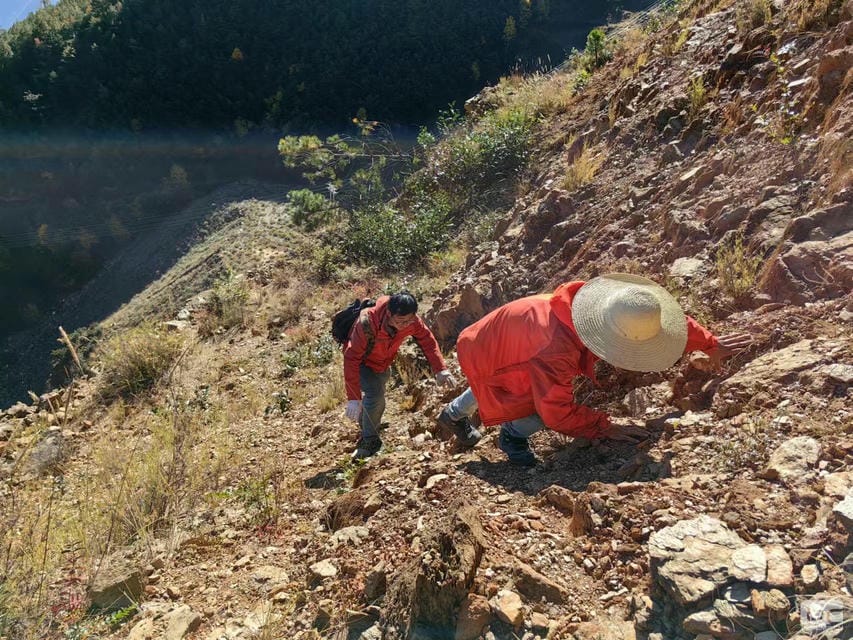 ������̳��hibet(�й�)�ٷ���վ