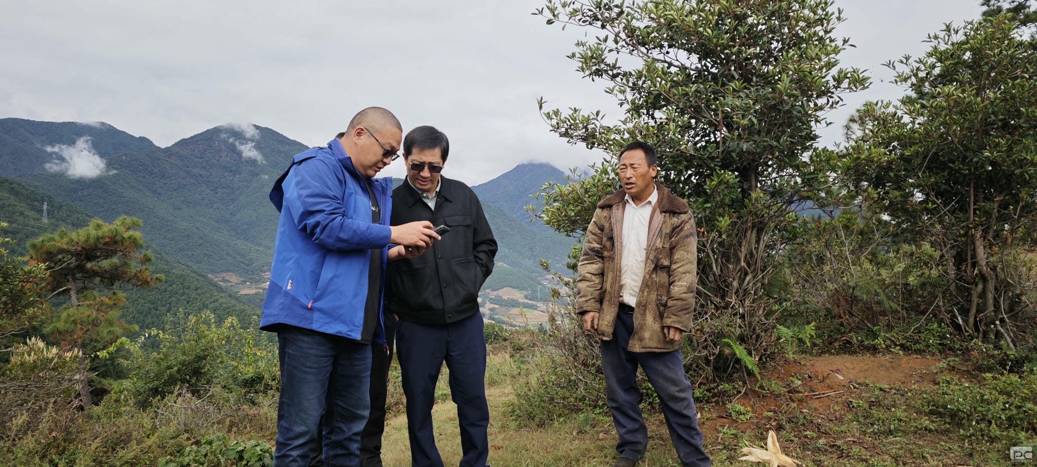 ������̳��hibet(�й�)�ٷ���վ