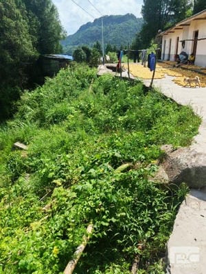 ������̳��hibet(�й�)�ٷ���վ